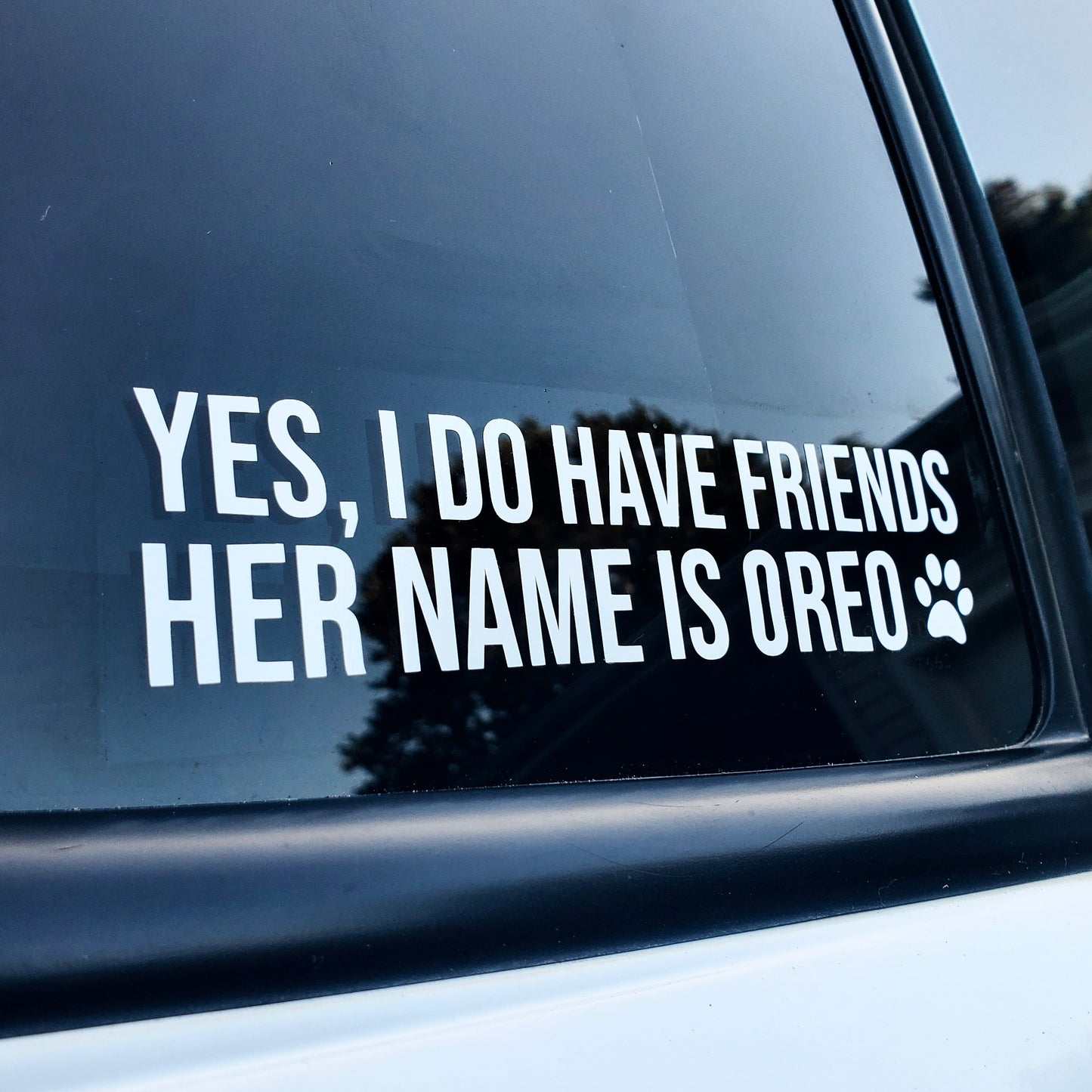 Yes, I Do Have Friends Custom Vinyl Decal