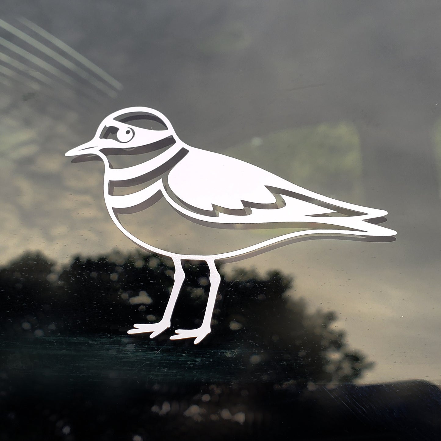 Killdeer Vinyl Decal