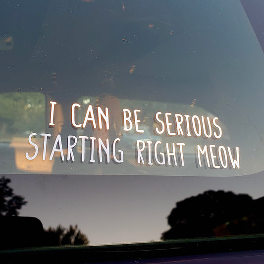 I Can Be Serious Vinyl Decal
