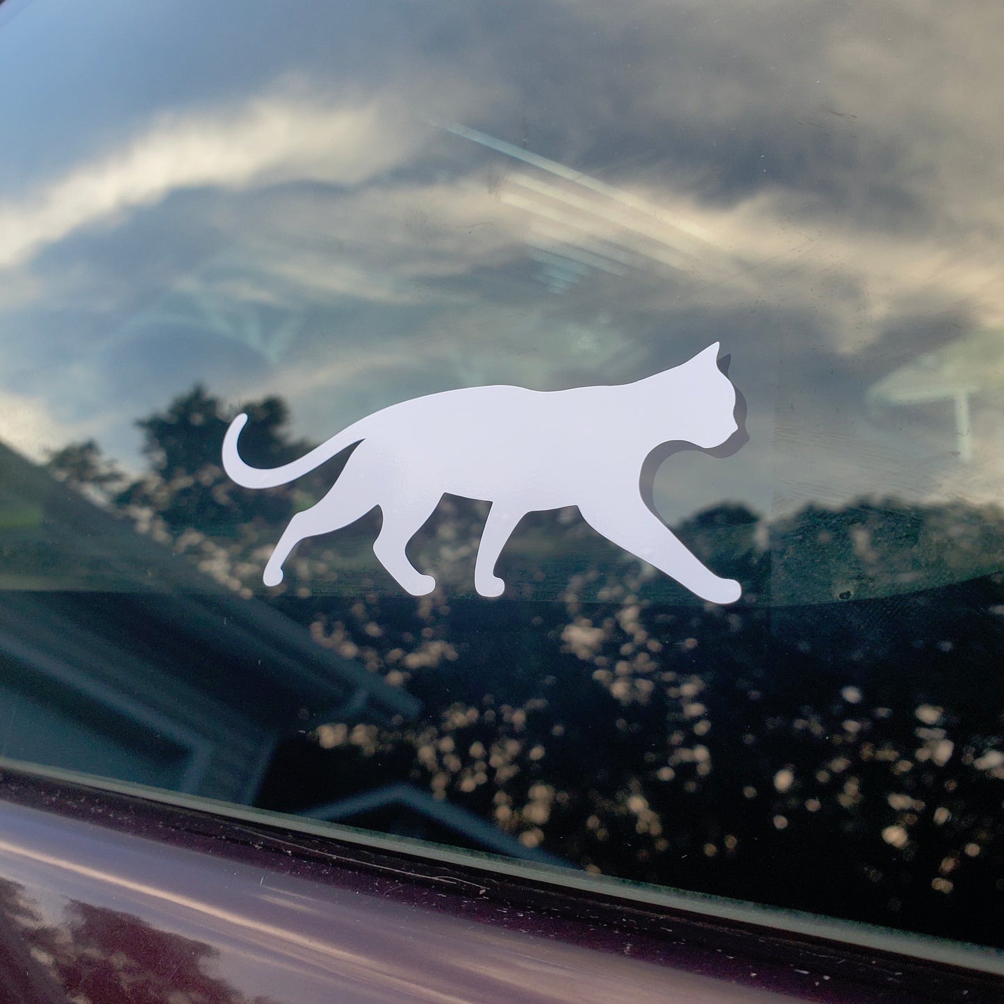 Cat Vinyl Decal